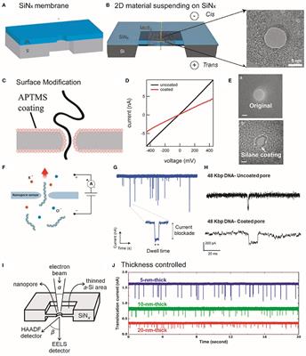 Single-Entity Detection With TEM-Fabricated Nanopores